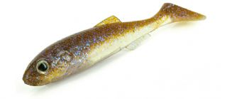 Molix RT Shad 5.5 inch - 